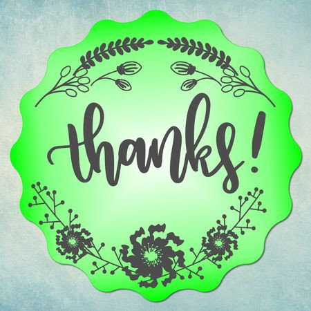 Молд "Thanks" (S)